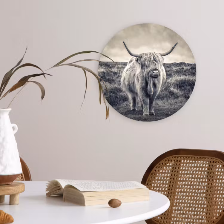 Schotse hooglander - Dieren - Wolken - Koe - Natuur Wandcirkel kunststof plaat 5mm dik klein -sfeer4