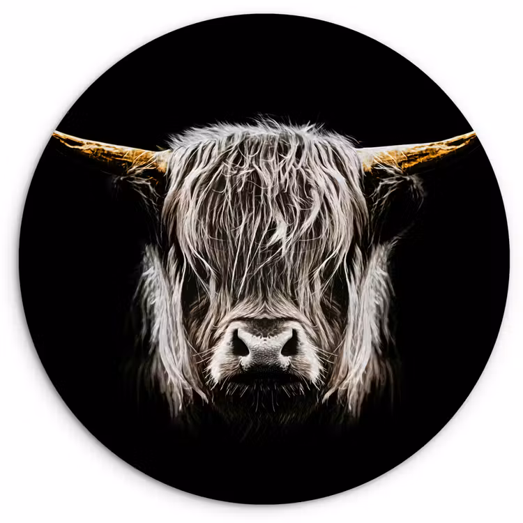 Schotse hooglander - Goud - Hoorns - Zwart wit - Koe - Dieren Wandcirkel kunststof plaat 5mm dik klein -3d
