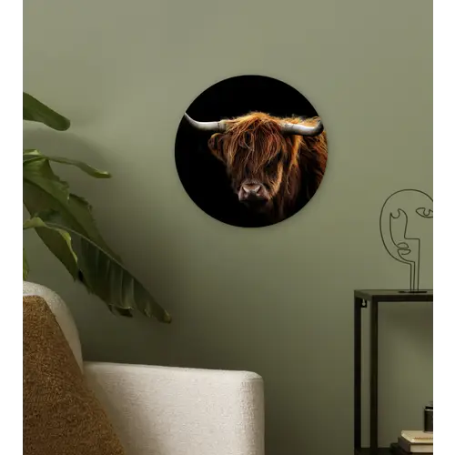Schotse Hooglander - Horens - Zwart - Dieren - Natuur - Wild - Koe Wandcirkel kunststof plaat 5mm dik klein -sfeer3