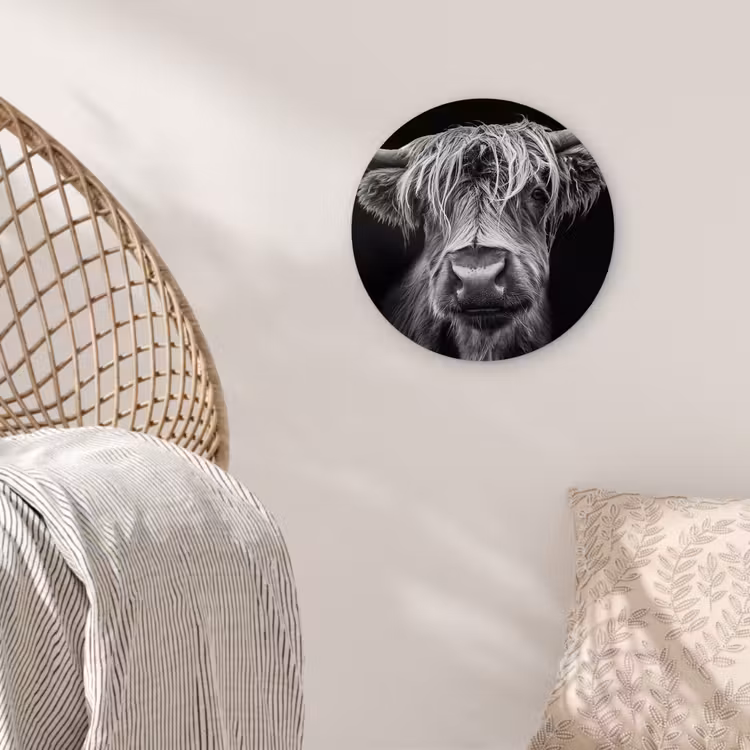 Schotse Hooglander - Horens - Zwart - Wit - Koe - Wild - Dieren Wandcirkel kunststof plaat 5mm dik klein -sfeer5