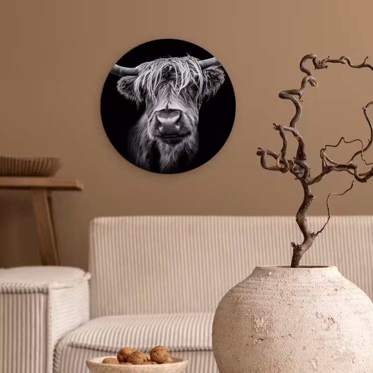 Schotse Hooglander - Horens - Zwart - Wit - Koe - Wild - Dieren Wandcirkel kunststof plaat 5mm dik klein -sfeer1