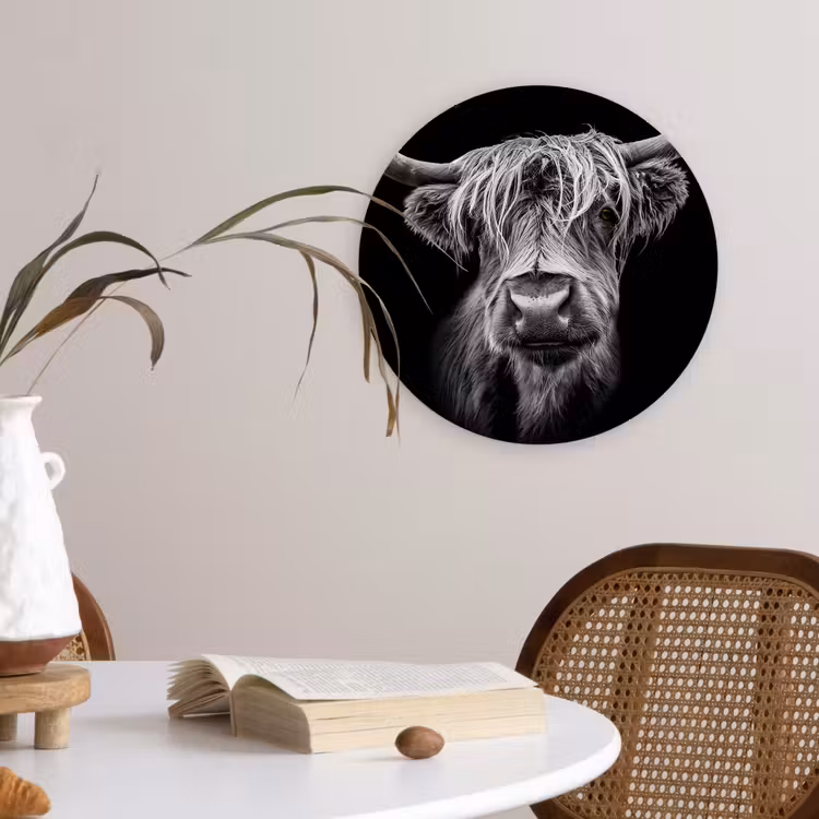 Schotse Hooglander - Horens - Zwart - Wit - Koe - Wild - Dieren Wandcirkel kunststof plaat 5mm dik klein -sfeer4