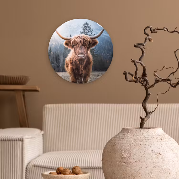 Schotse hooglander - Koe - Dieren - Berg - Natuur Wandcirkel kunststof plaat 5mm dik klein -sfeer1
