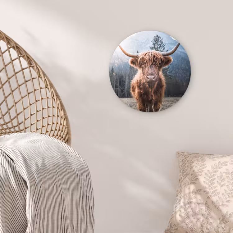 Schotse hooglander - Koe - Dieren - Berg - Natuur Wandcirkel kunststof plaat 5mm dik klein -sfeer5