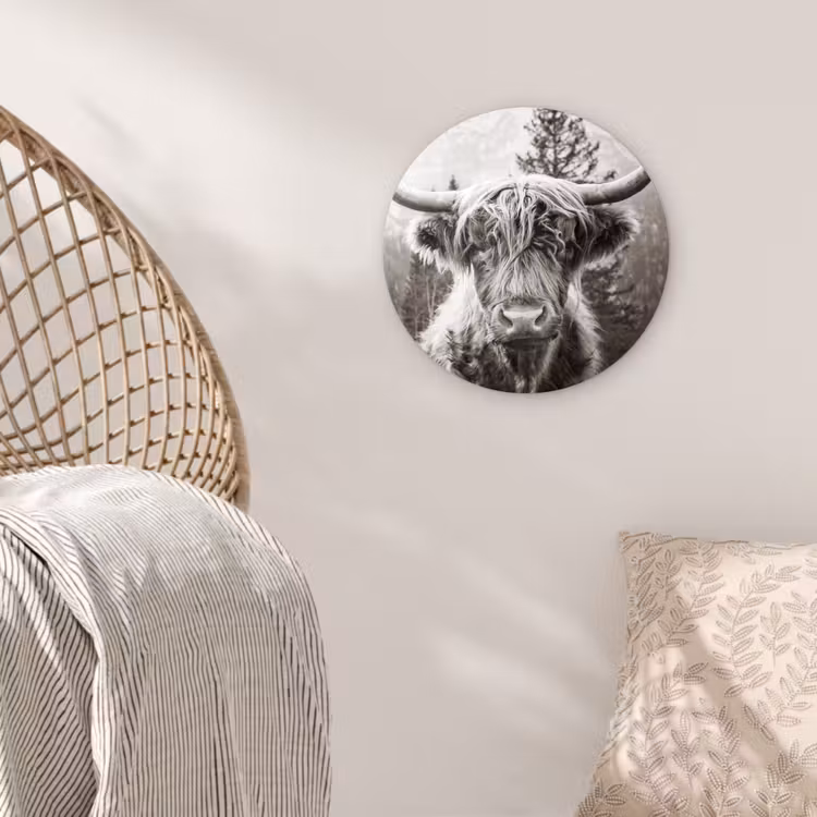 Schotse hooglander - Koe - Dieren - Zwart - Wit Wandcirkel kunststof plaat 5mm dik klein -sfeer5