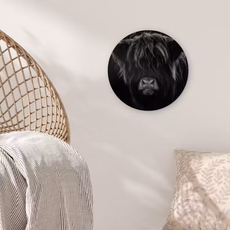 Schotse hooglander - Koe - Zwart - Wit - Dieren Wandcirkel kunststof plaat 5mm dik klein -sfeer5
