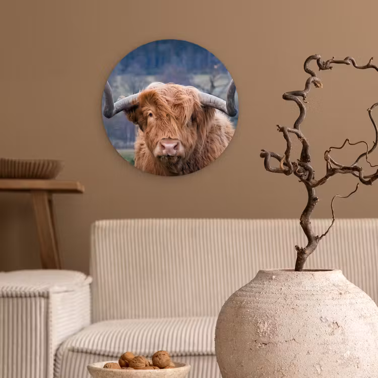 Schotse Hooglander - Koeienkop - Landschap - Natuur - Koe Wandcirkel kunststof plaat 5mm dik klein -sfeer1