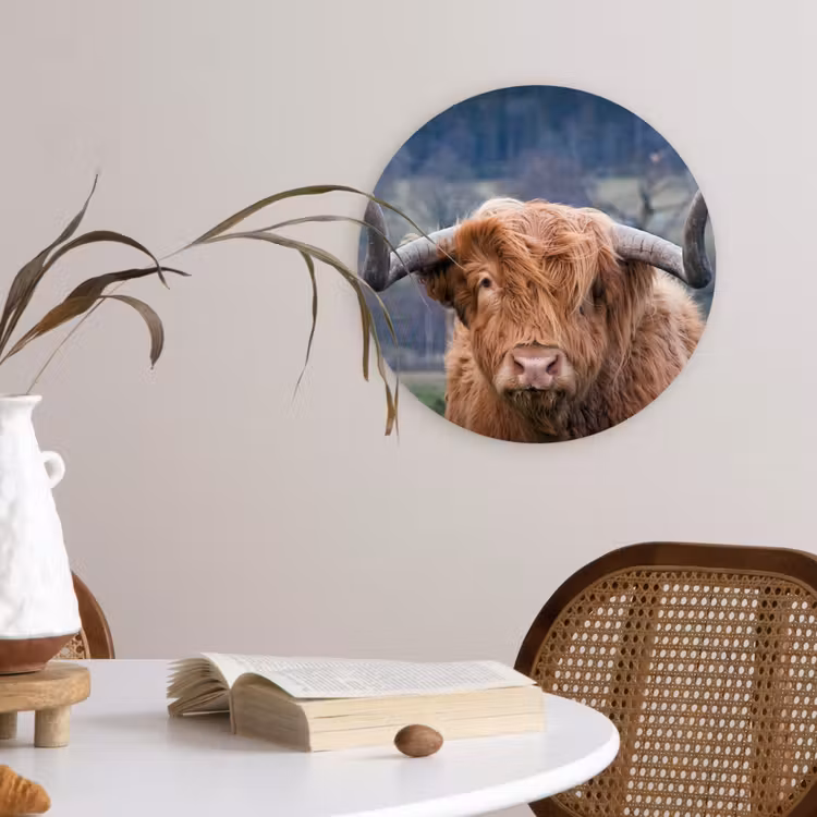 Schotse Hooglander - Koeienkop - Landschap - Natuur - Koe Wandcirkel kunststof plaat 5mm dik klein -sfeer4