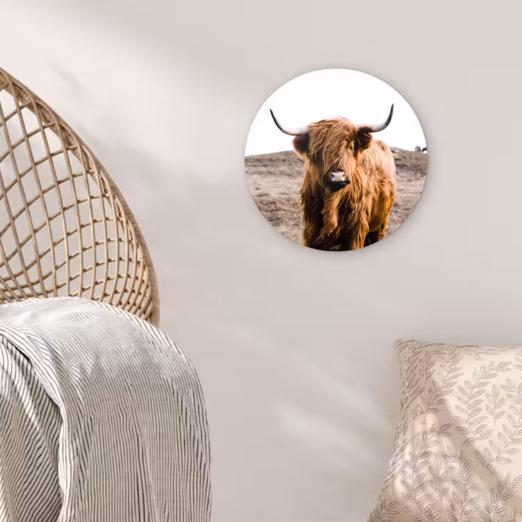Schotse hooglander - Landschap - Koe - Bruin - Dieren - Natuur Wandcirkel kunststof plaat 5mm dik klein -sfeer5