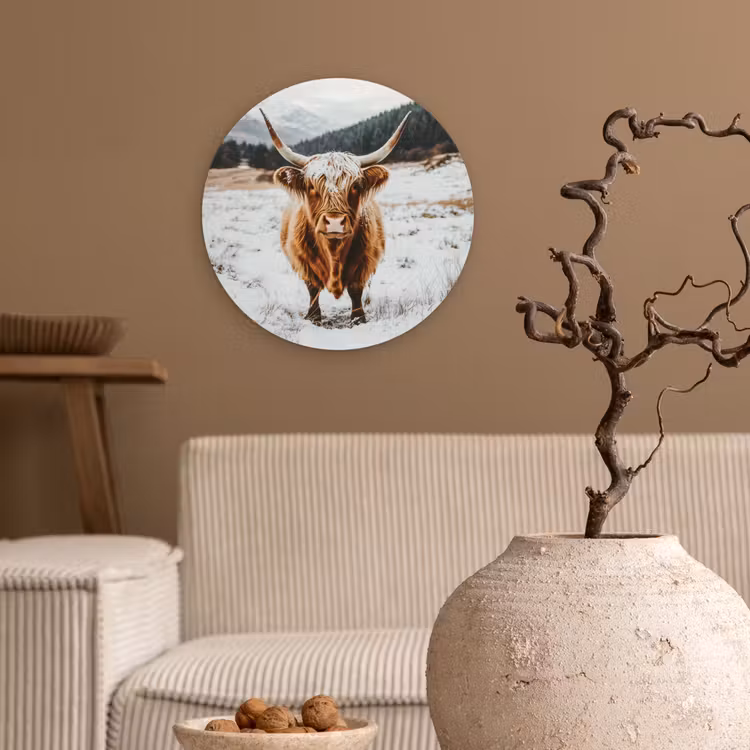 Schotse Hooglander - Landschap - Sneeuw - Bergen - Winter Wandcirkel kunststof plaat 5mm dik klein -sfeer1
