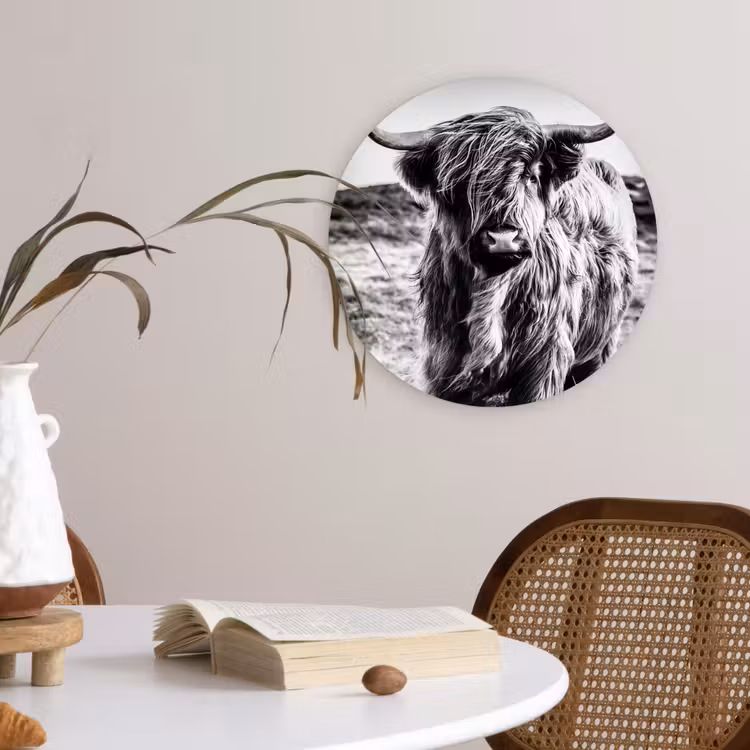 Schotse hooglander - Natuur - Koe - Zwart - Wit Wandcirkel kunststof plaat 5mm dik klein -sfeer4