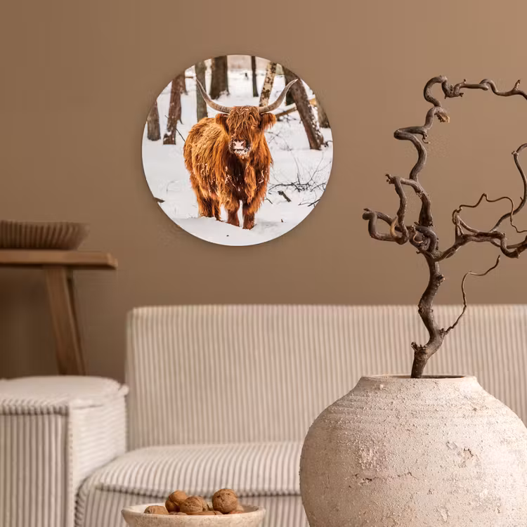 Schotse Hooglander - Sneeuw - Winter - Natuur - Dieren Wandcirkel kunststof plaat 5mm dik klein -sfeer1
