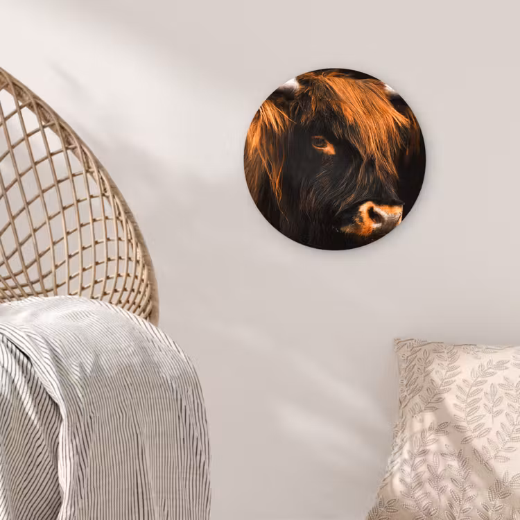 Schotse hooglander - Zwart - Koe - Hoorn - Dieren Wandcirkel kunststof plaat 5mm dik klein -sfeer5