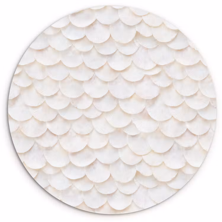 Schubben - Wit - Elegant Wandcirkel kunststof plaat 5mm dik klein 188 -3d