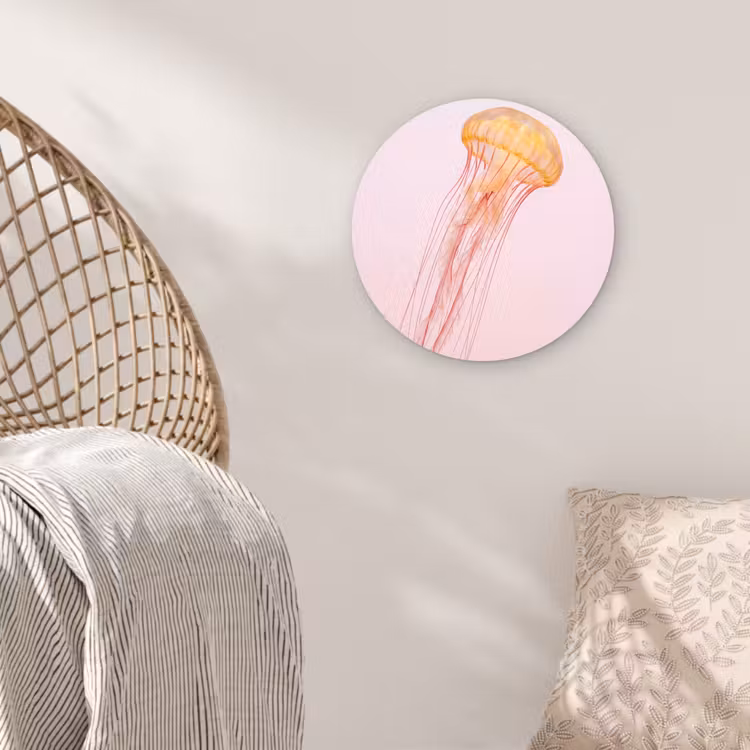 Sierlijk - Kwal - Roze Wandcirkel kunststof plaat 5mm dik klein -sfeer5
