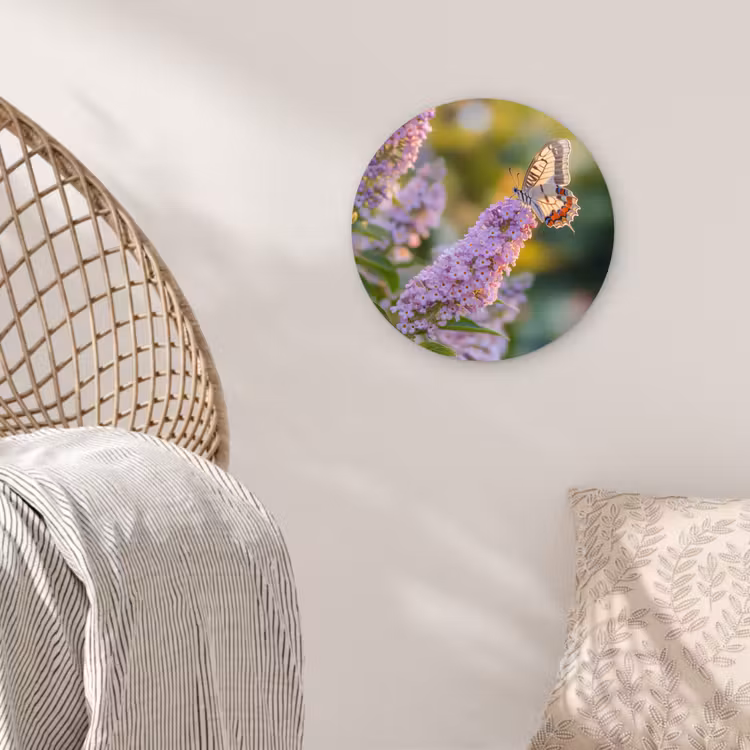 Sierlijke - Vlinder - Paarse - Bloemen Wandcirkel kunststof plaat 5mm dik klein -sfeer5