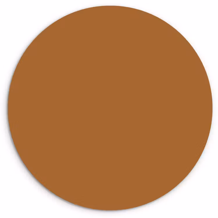 Spiced - Cinnamon - Bruin Wandcirkel kunststof plaat 5mm dik klein 188 -3d