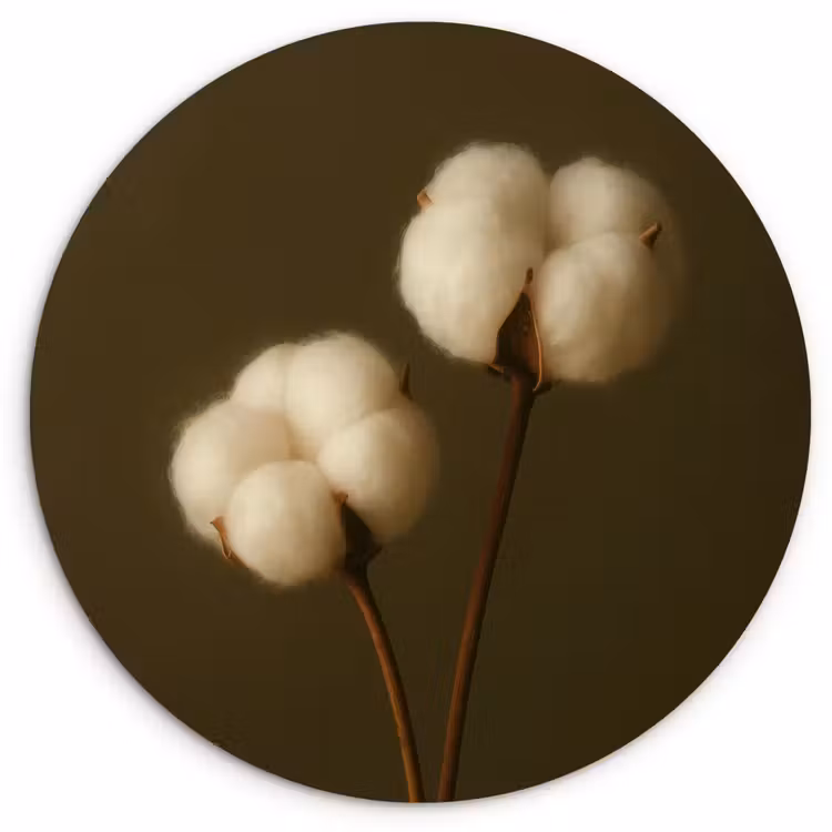 Takken - Katoen - Wit - Bollen Wandcirkel kunststof plaat 5mm dik klein -3d