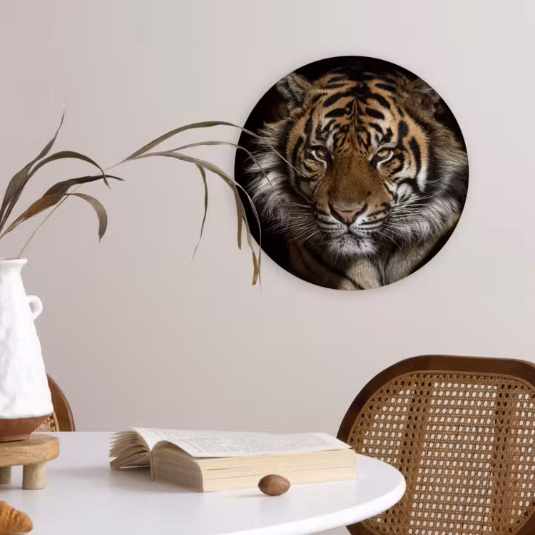 Tijger - Wilde dieren - Portret Wandcirkel kunststof plaat 5mm dik klein -sfeer4