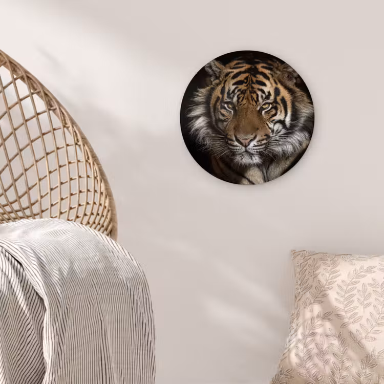 Tijger - Wilde dieren - Portret Wandcirkel kunststof plaat 5mm dik klein -sfeer5