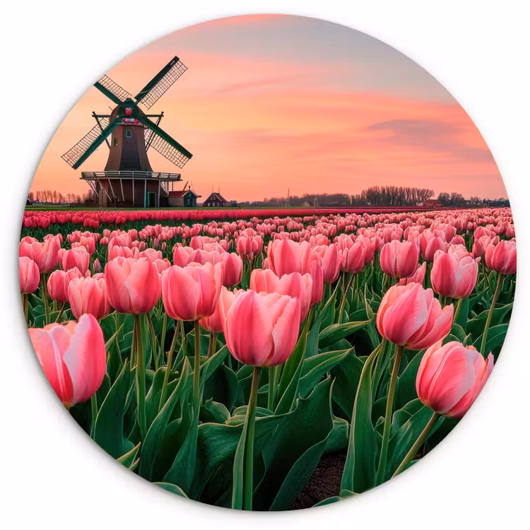 Tulpen - Molen - Nederland Wandcirkel kunststof plaat 5mm dik klein -3d