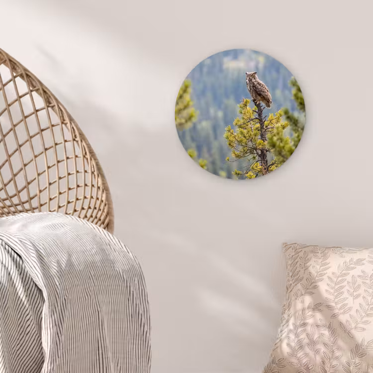 Uil - Oehoe - Bomen - Natuur Wandcirkel kunststof plaat 5mm dik klein -sfeer5