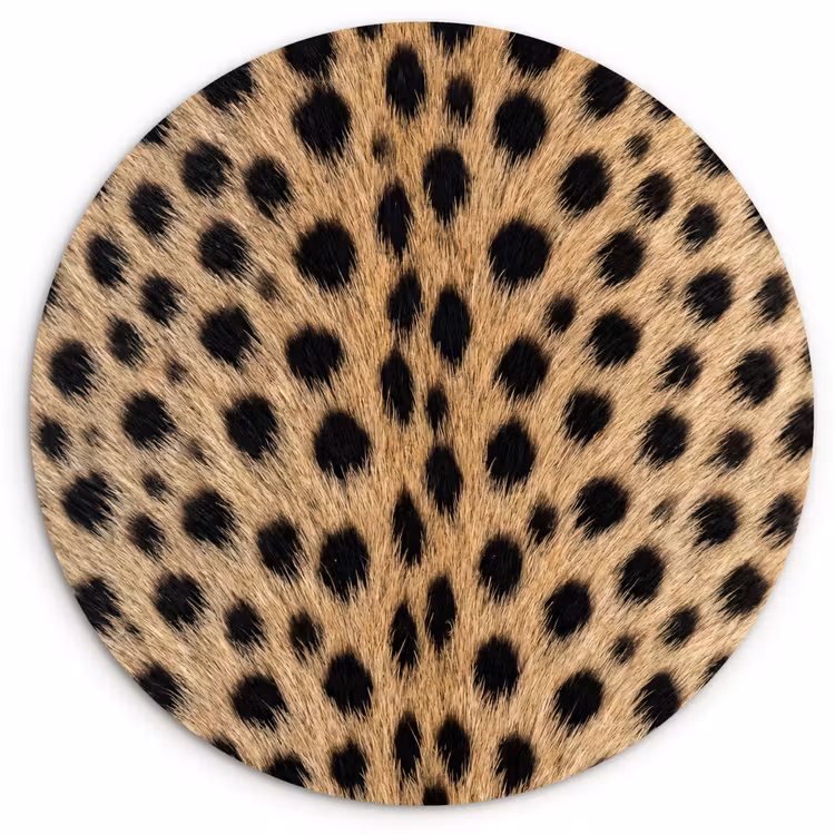 Vacht - Jachtluipaard - Zwart - Wit Wandcirkel kunststof plaat 5mm dik klein -3d