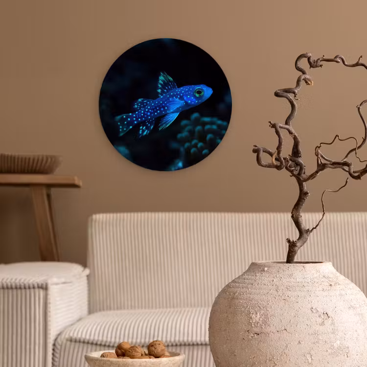 Vis - Stippen - Koraal - Blauw Wandcirkel kunststof plaat 5mm dik klein -sfeer1