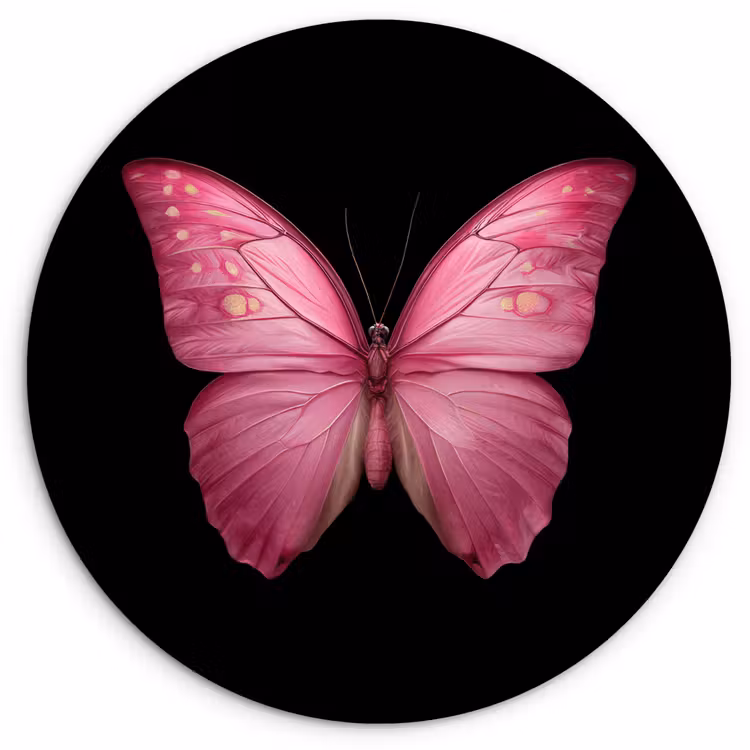 Vlinder - roze - Elegant Wandcirkel kunststof plaat 5mm dik klein -3d