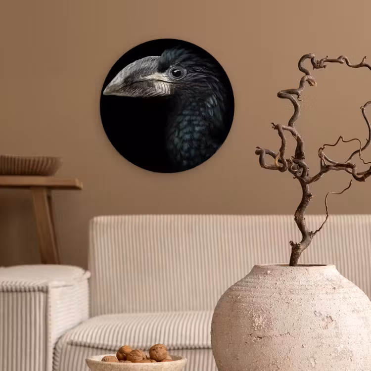 Vogel - Portret - Neushoornvogel - Zwart - Dieren Wandcirkel kunststof plaat 5mm dik klein -sfeer1