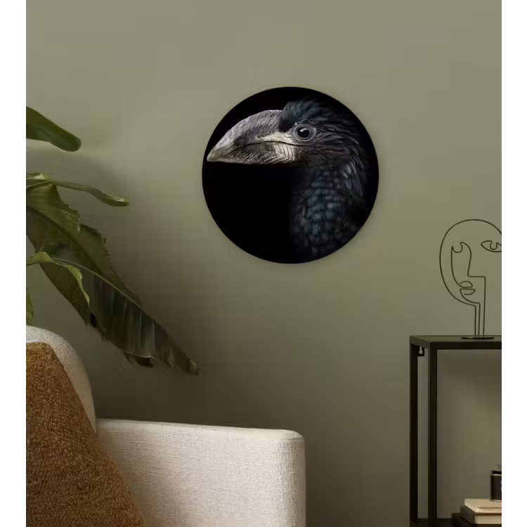 Vogel - Portret - Neushoornvogel - Zwart - Dieren Wandcirkel kunststof plaat 5mm dik klein -sfeer3