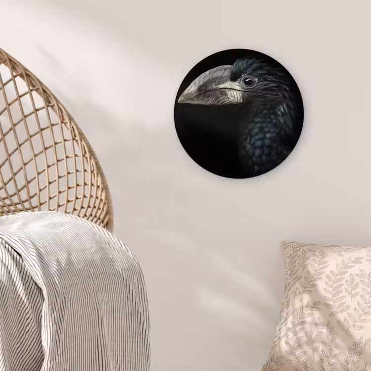 Vogel - Portret - Neushoornvogel - Zwart - Dieren Wandcirkel kunststof plaat 5mm dik klein -sfeer5