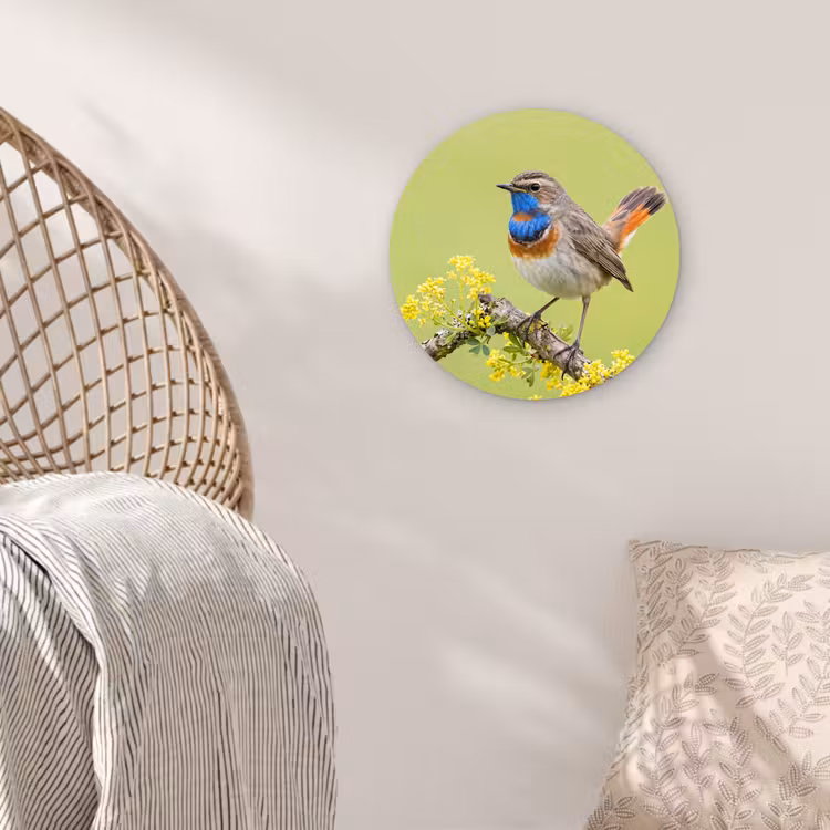 Vogel - Tak - Natuur - Kleurrijk Wandcirkel kunststof plaat 5mm dik klein -sfeer5