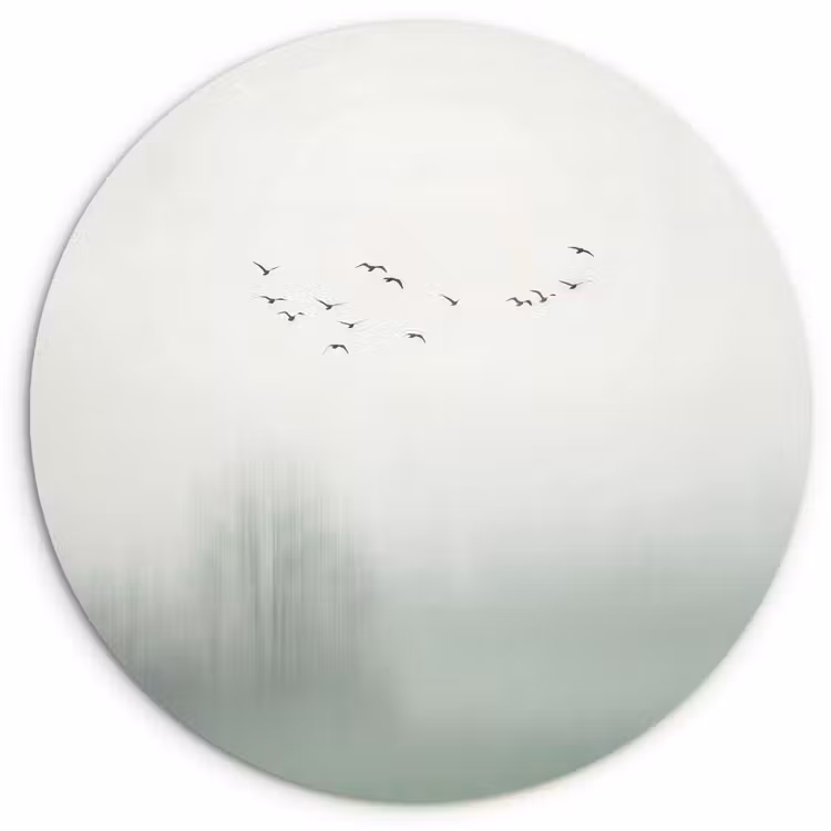 Vogel - Vlucht - Natuur - Minimalistisch Wandcirkel kunststof plaat 5mm dik klein -3d