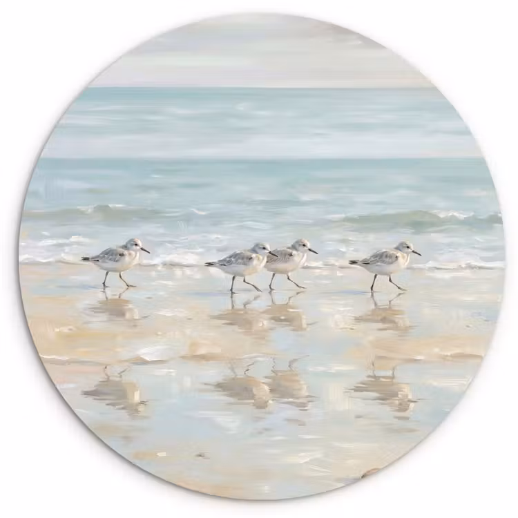 Vogels - Strand - Zee Wandcirkel kunststof plaat 5mm dik klein -3d