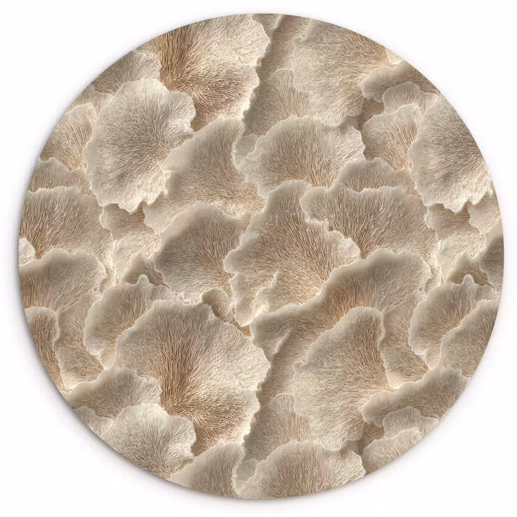 Waaierstructuren - Beige - Vezeltextuur Wandcirkel kunststof plaat 5mm dik klein 188 -3d