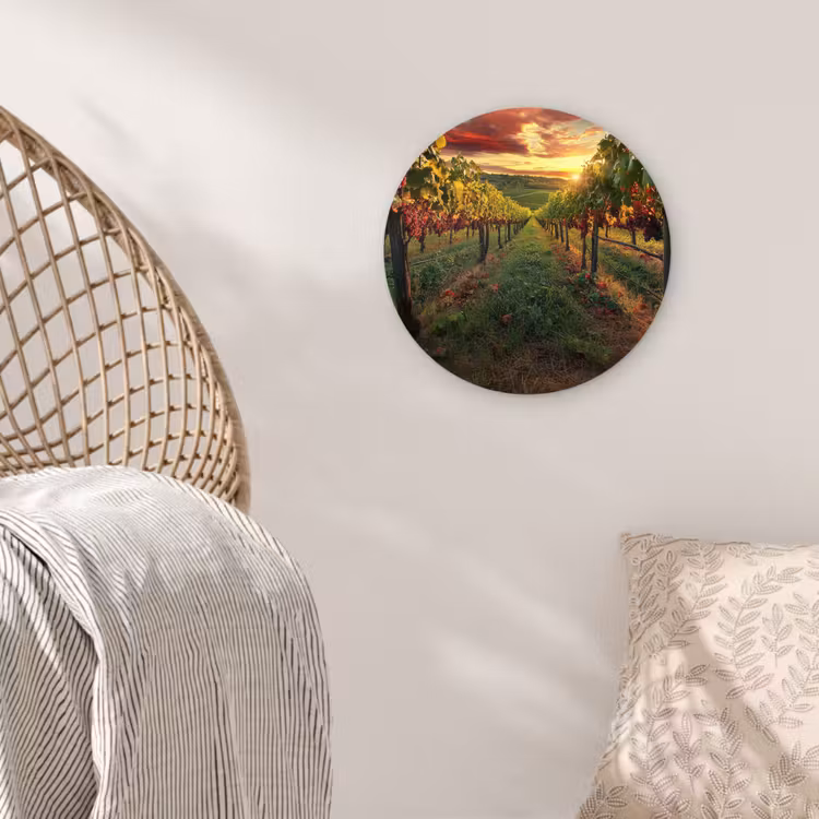 Wijngaard - Druiven - Zonsondergang Wandcirkel kunststof plaat 5mm dik klein -sfeer5