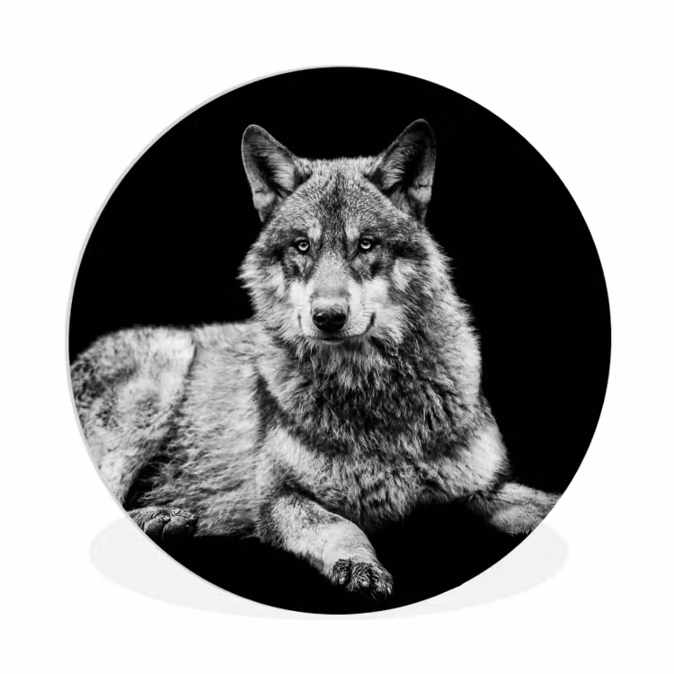 Wilde dieren - Wolf - Zwart - Wit Wandcirkel kunststof plaat 5mm dik klein -3d