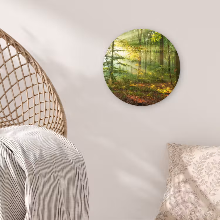 Zon - Bos - Bomen - Natuur - Herfst Wandcirkel kunststof plaat 5mm dik klein -sfeer5