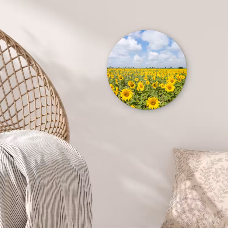 Zonnebloemen - Bloemen - Wolken - Natuur - Geel - Landschap Wandcirkel kunststof plaat 5mm dik klein -sfeer5