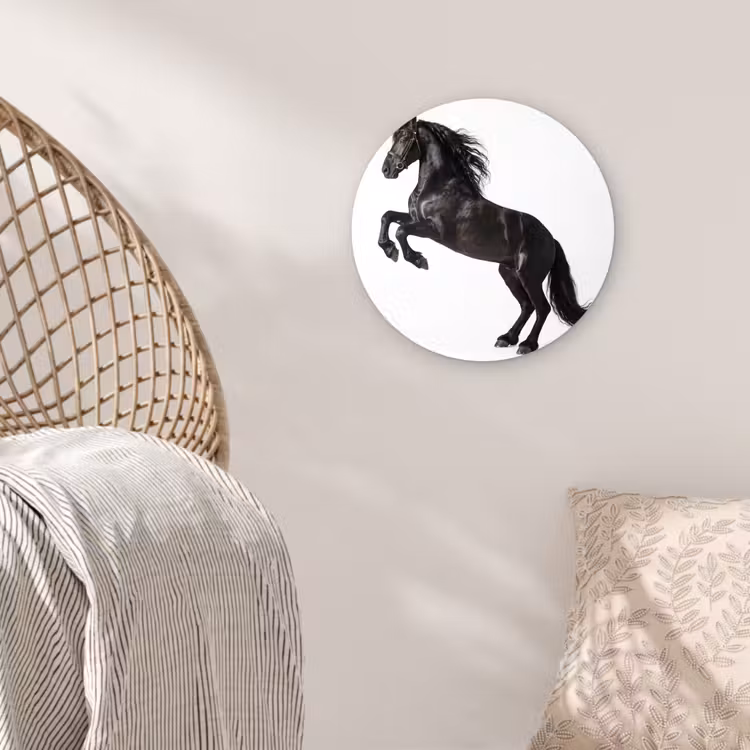 Zwart - Paard - Portret Wandcirkel kunststof plaat 5mm dik klein -sfeer5