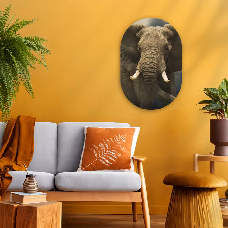 Afrikaanse olifant tegen de donkere wolken Wandcirkel Ovaal Forex klein -sfeer4