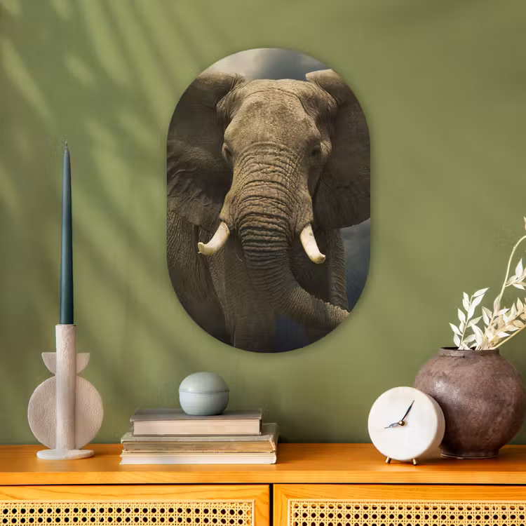 Afrikaanse olifant tegen de donkere wolken Wandcirkel Ovaal Forex klein -sfeer2
