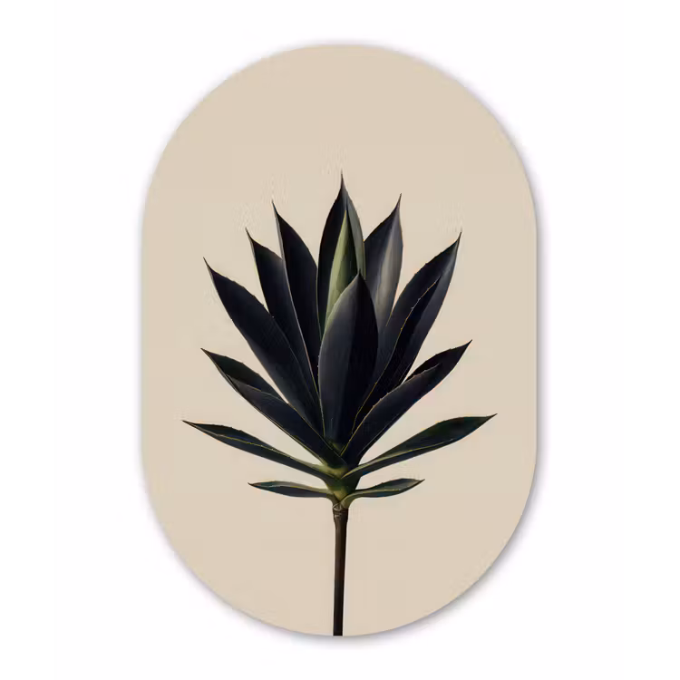 Agaveplant - Symmetrisch - Groen Wandcirkel Ovaal Forex klein -3d