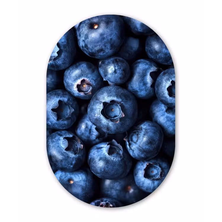 Bessen - Blauw - Fruit Wandcirkel Ovaal Forex klein -3d