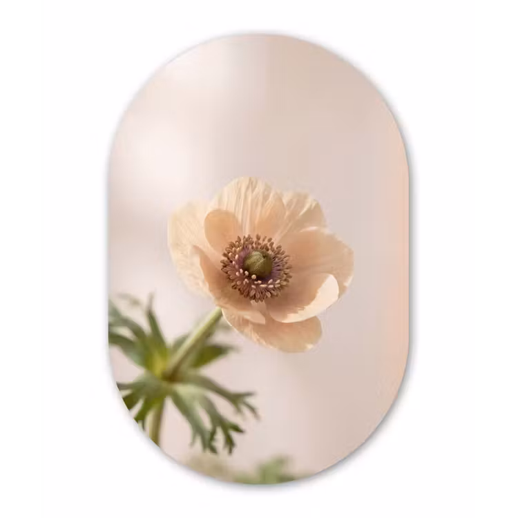 Bloem - Minimalistisch - Groen Wandcirkel Ovaal Forex klein -3d