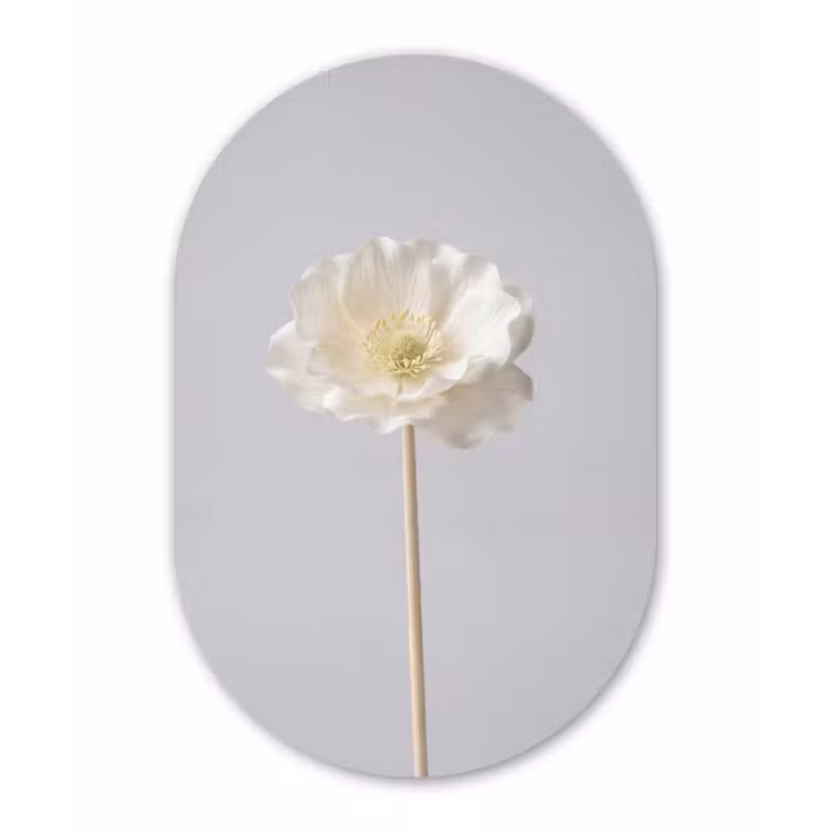 Bloem - Minimalistisch -Wit Wandcirkel Ovaal Forex klein -3d