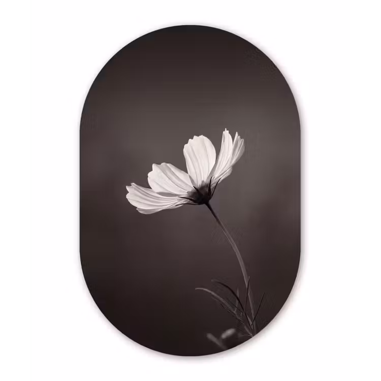 Bloem - Minimalistisch - Zwart - Wit Wandcirkel Ovaal Forex klein -3d