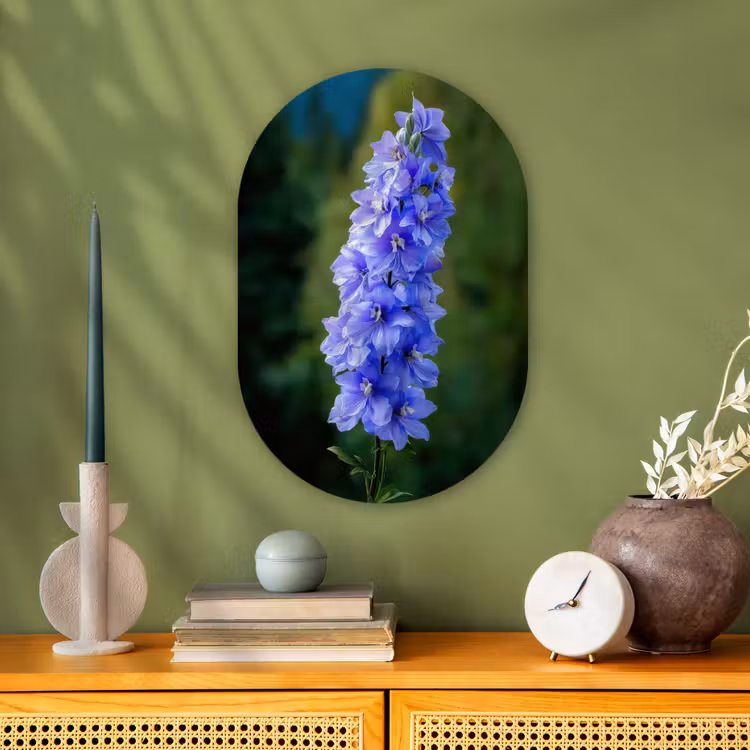 Bloemen - Blauw - Dennenboom Wandcirkel Ovaal Forex klein -sfeer2