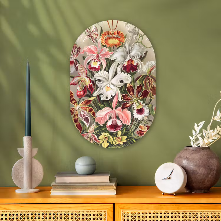 Bloemen - Ernst Haeckel - Vintage - Orchidee Wandcirkel Ovaal Forex klein -sfeer2